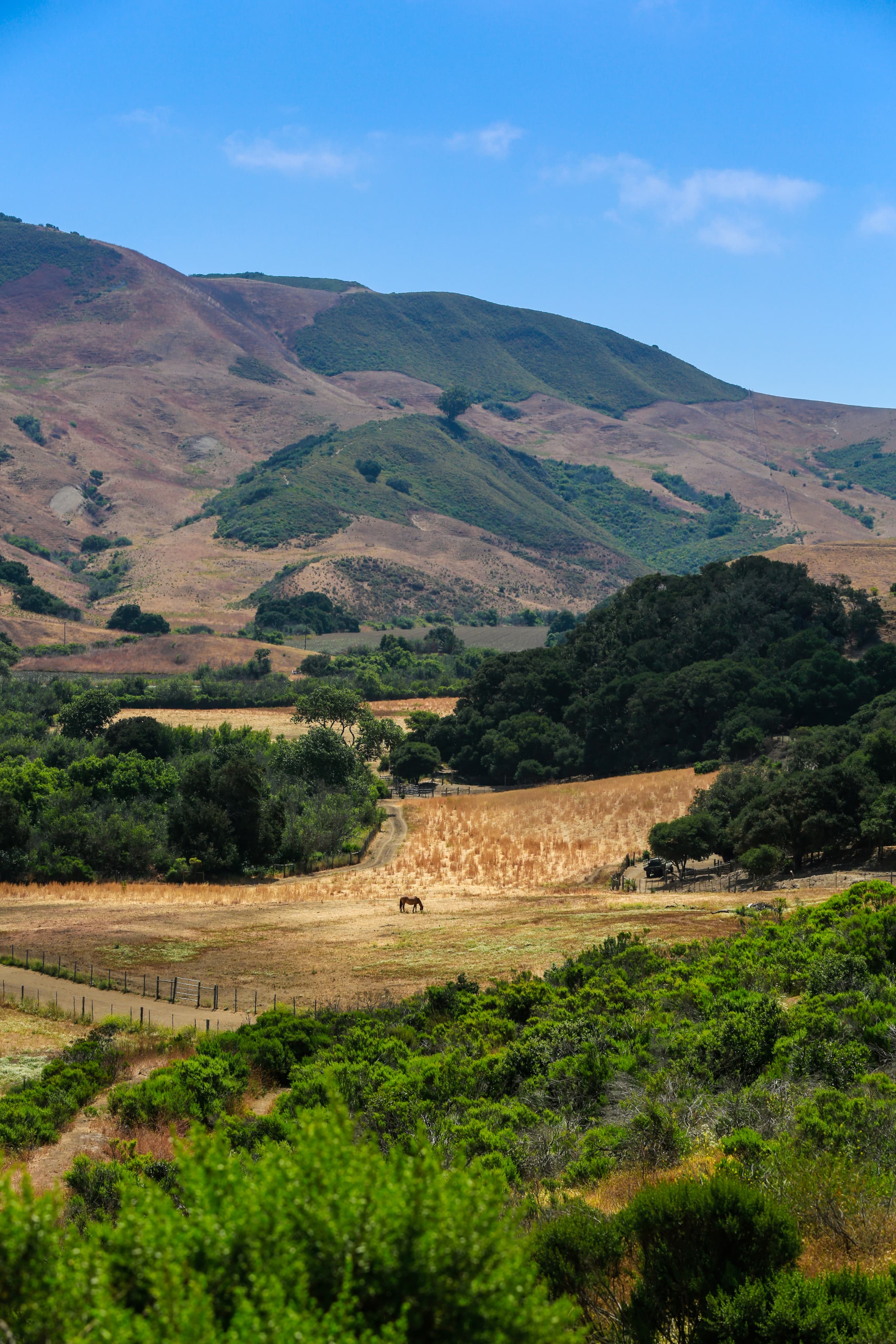 Card background image