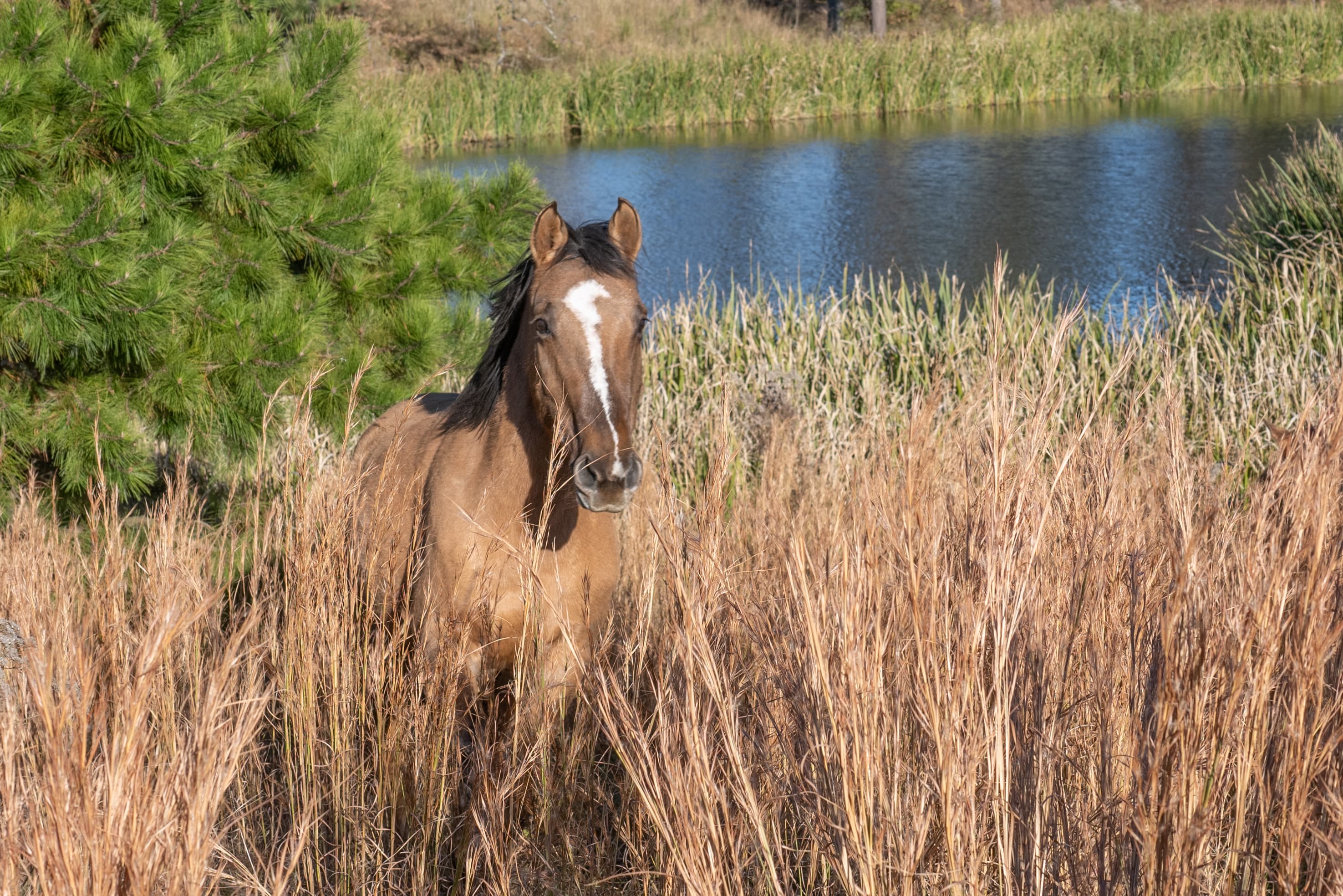 Card background image