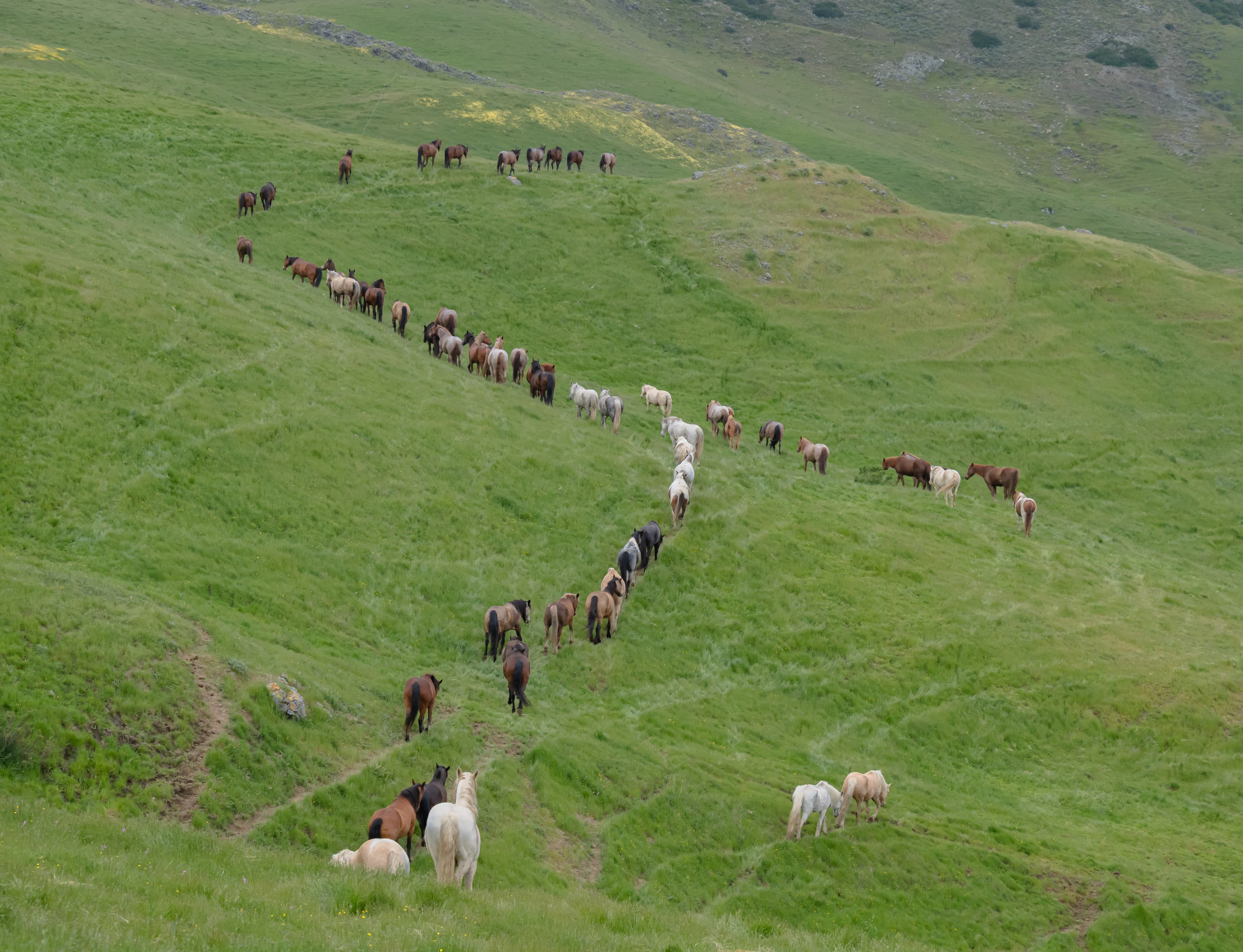 Card background image