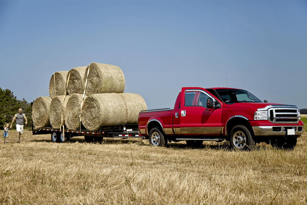 Alternate Picture Layout Image