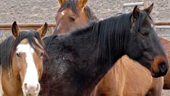 Matching Gifts and Corporate Giving