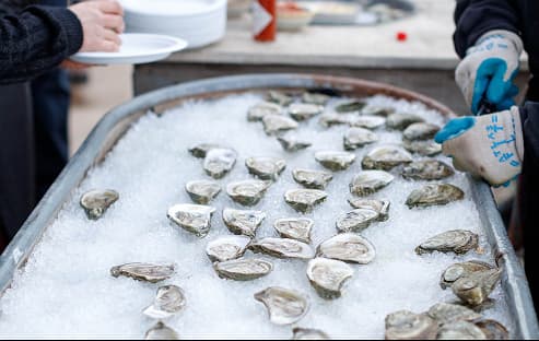 Fresh oysters being prepared for guests