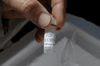 Alternate Picture Layout Image