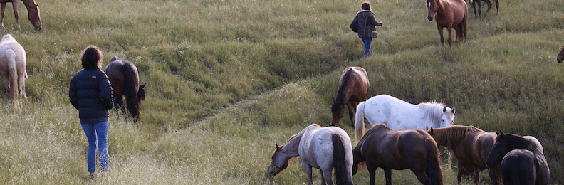 Alternate Picture Layout Image