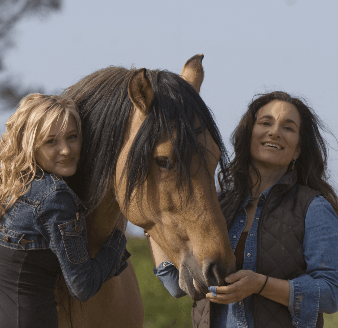 Alternate Picture Layout Image