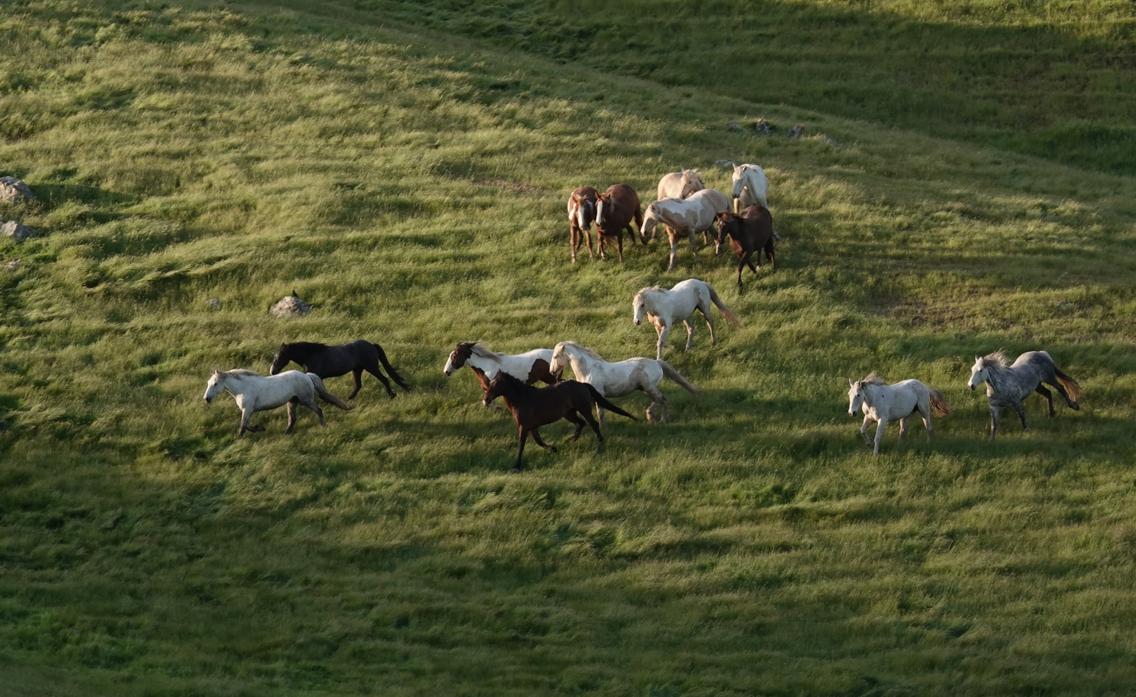 Alternate Picture Layout Image