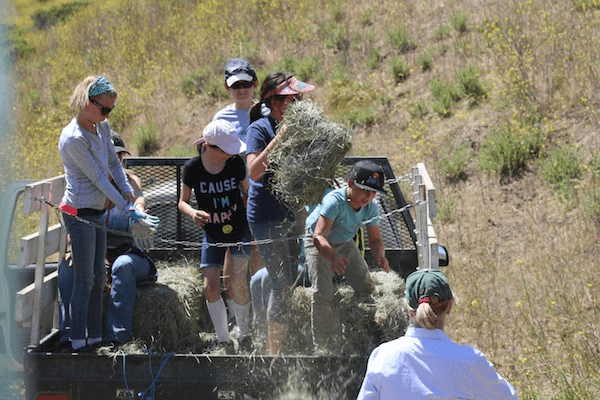 Alternate Picture Layout Image