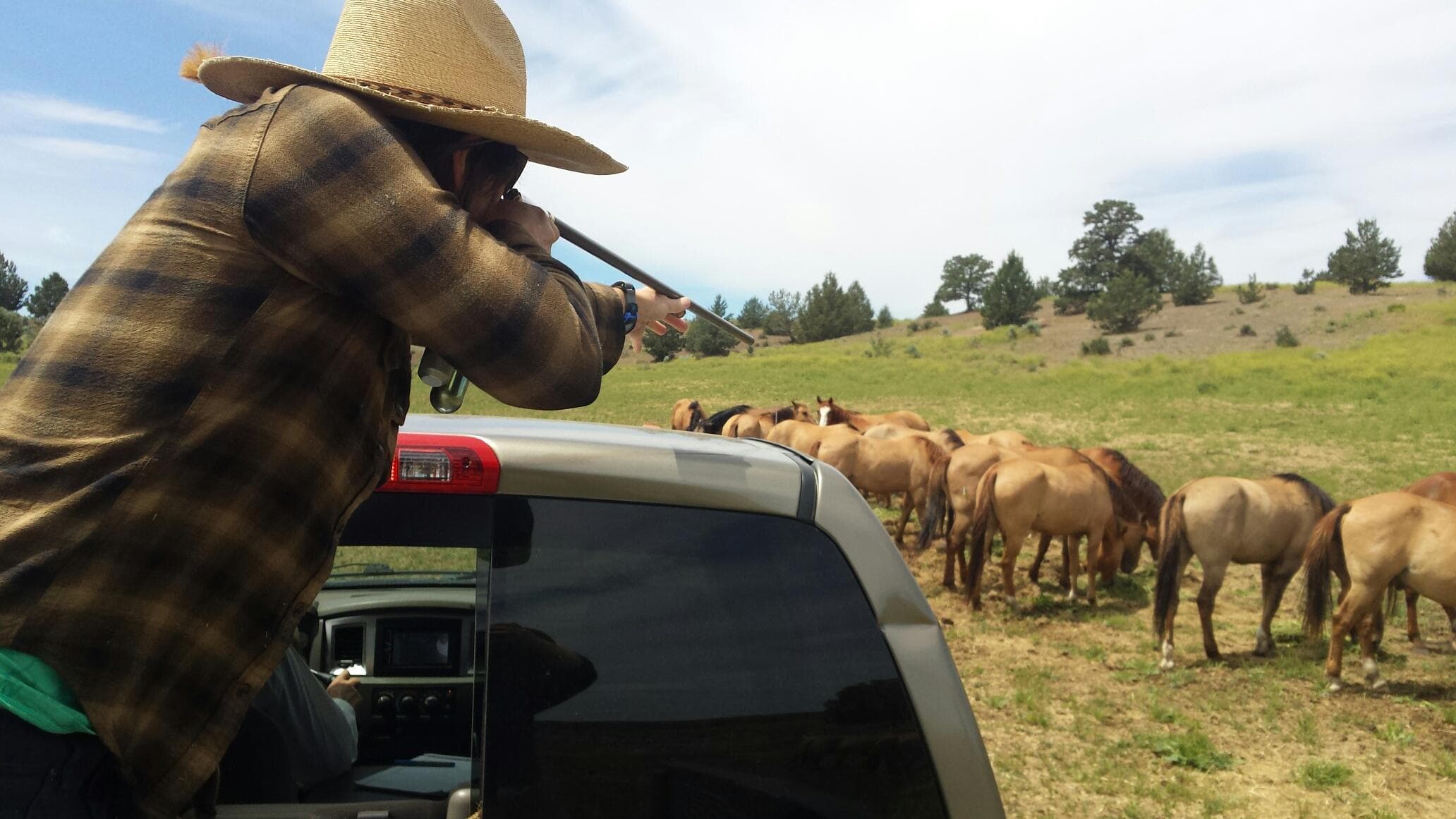 Alternate Picture Layout Image