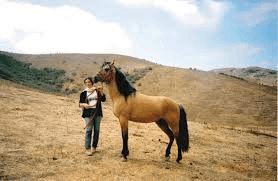 Alternate Picture Layout Image