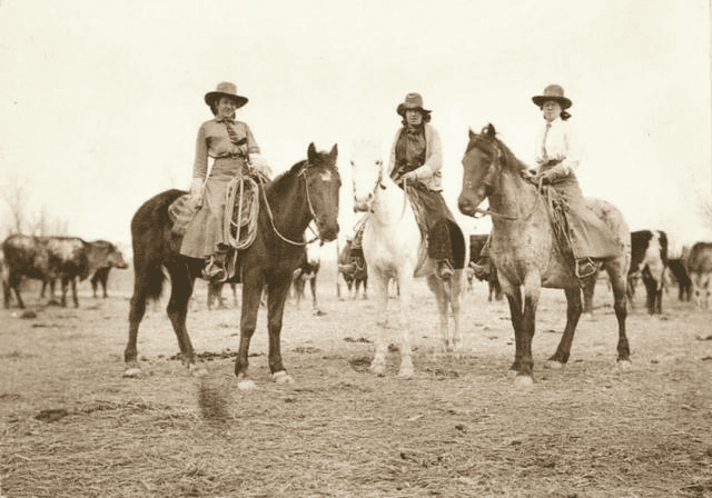 Alternate Picture Layout Image