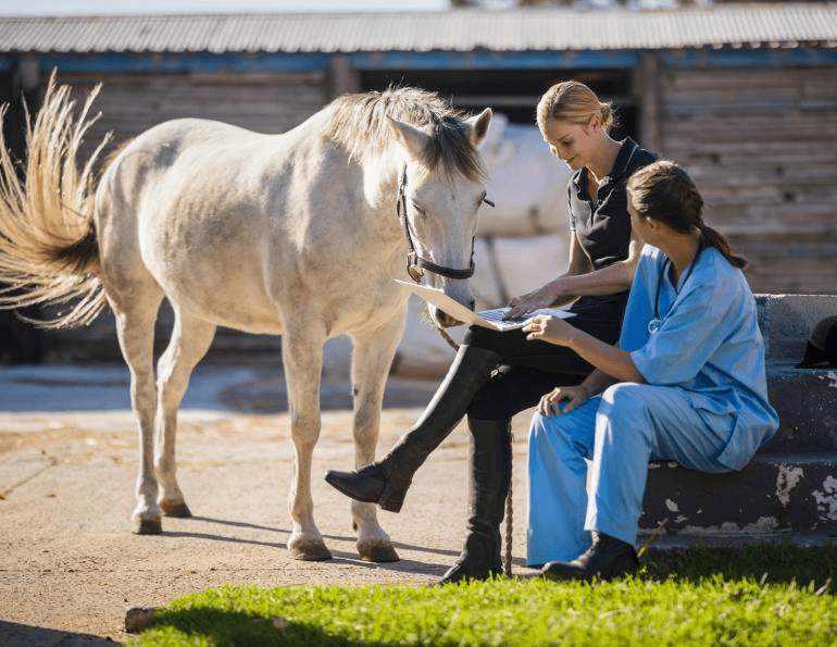 Alternate Picture Layout Image