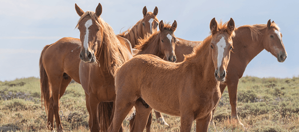 Image for news article